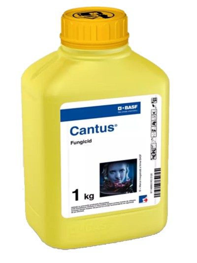 Fungicid CANTUS - 1 kg, BASF, Vita de vie, Rapita, Sistemic