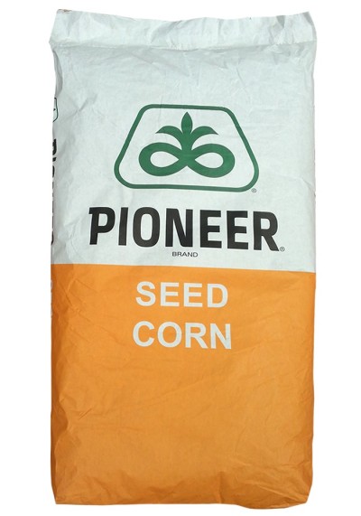 Samanta Porumb PIONEER P9889, FAO 350, LumiGEN, Optimum AQUAmax - Sac 80.000 boabe