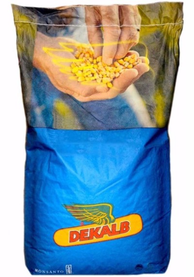 Samanta Porumb DEKALB DKC 4541, FAO 350-390, Semi-Timpuriu - Sac 80.000 boabe