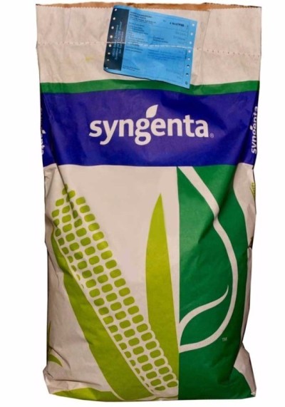 Samanta Porumb SY CHORINTOS Syngenta - Sac 50.000 boabe, Hibrid Timpuriu, FAO 300-340