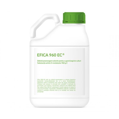 Erbicid EFICA 960 EC - 5 Litri, Adama, Preemergent