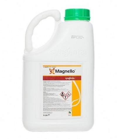Fungicid MAGNELLO - 5 Litri, Syngenta, Grau, Rapita, Sistemic