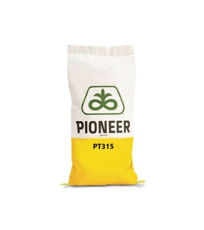 Semințe Rapiță De Toamnă Pioneer PT315