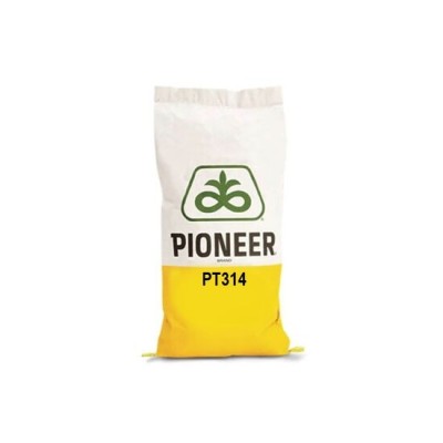 Semințe rapiță De toamnă Pioneer PT314 PREMIUM