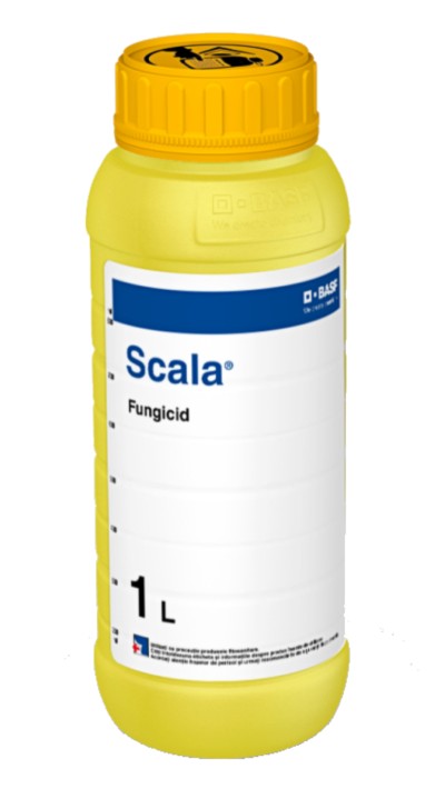 Fungicid SCALA - 1 Litru, BASF, Contact, Putregaiul Cenusiu, Rapan